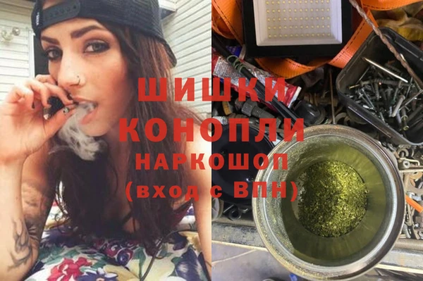 крисы Горняк