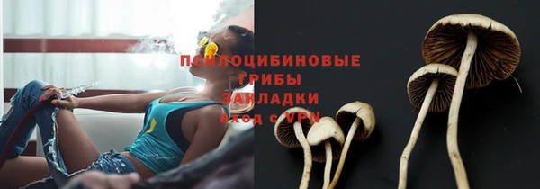 крисы Горняк