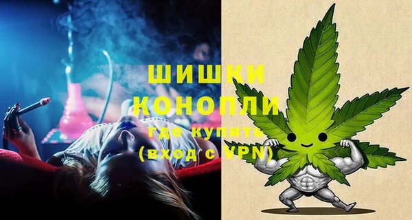 крисы Горняк