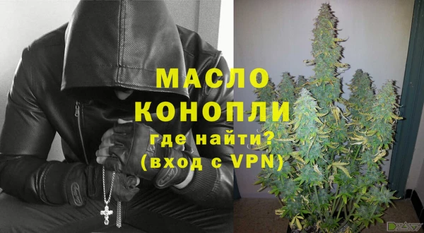 крисы Горняк