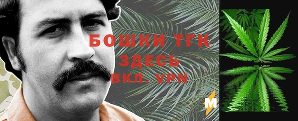 крисы Горняк