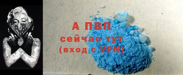 крисы Горняк