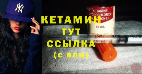 крисы Горняк