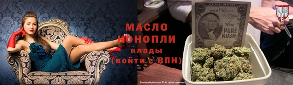 крисы Горняк